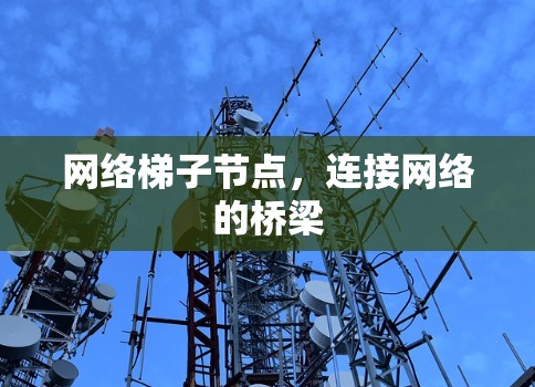 网络梯子节点,连接网络的桥梁 网络梯子节点,连接网络的桥梁