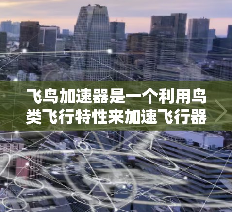 飞鸟加速器是一个利用鸟类飞行特性来加速飞行器的创新项目，具有广阔的应用前景。以下是对该项目的一些详细分析和总结