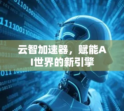 云智加速器，赋能AI世界的新引擎