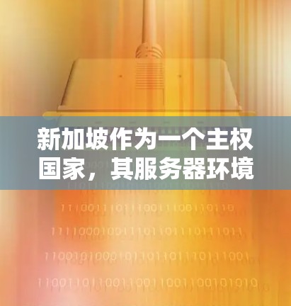 新加坡作为一个主权国家，其服务器环境和国际互联网有所不同，因此使用新加坡服务器上的VPN服务需要谨慎处理。以下是一些关键点和建议