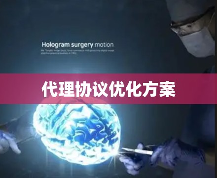 代理协议优化方案