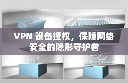 VPN 设备授权，保障网络安全的隐形守护者