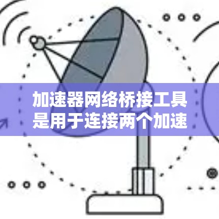 加速器网络桥接工具是用于连接两个加速器或加速器与网络设备的工具，旨在提升数据传输效率。以下是该工具的详细介绍